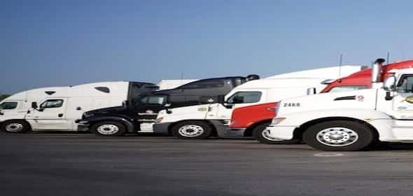 A row of parked semi-trucks, each bearing vibrant hues like white, black, and red, stands proudly under a clear blue sky. These powerful machines are the pride of a reputable truck company known for its commitment to safety and precision on the roadways.