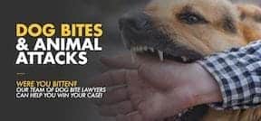 A person in a checkered shirt extends a hand towards a dog baring its teeth. Text reads: "Dog Bites & Animal Attacks. Bitten in Michigan? Our team of expert dog bite lawyers is ready to help you with your Michigan Dog Bite Case!.